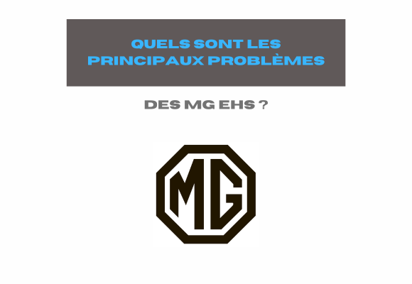 probleme mg ehs